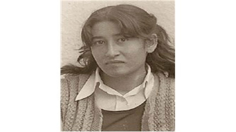 Dadgeha Tirkiyeyê ferman da li ser doza Ayten Ozturk lêpirsînê li rêxistina JÎTEMê bikin.